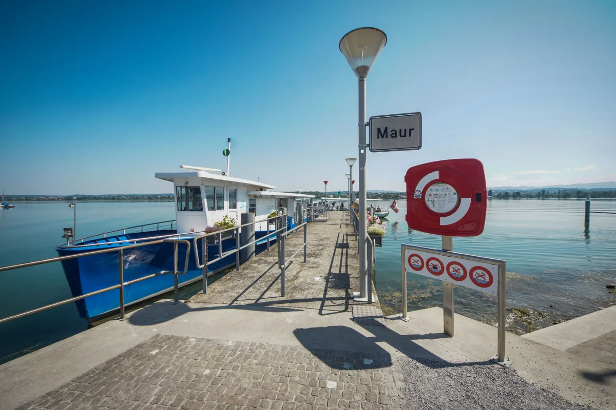 Beim Steg in Maur (hier fährt das Kursschiff Niederuster–Maur): Im Vordergrund des Bilds liegt ein Uferbereich, der mit vielen Steinen, Treibholz und Muschelschalen bedeckt ist. Einige der Steine sind moosbewachsen, was auf eine feuchte Umgebung hindeutet. Das Wasser ist klar, und man kann den Grund erkennen, der mit kleinen Kieselsteinen und weiteren organischen Materialien wie Blättern und Zweigen gesprenkelt ist. Kleine Wellen plätschern sanft gegen das Ufer und erzeugen leichte Schaumbildung.
